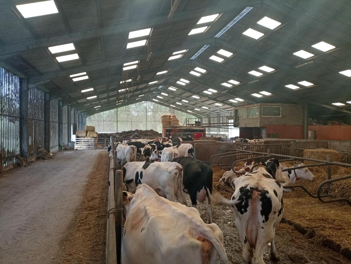 Gite A La Ferme Chez Magali Escaudoeuvres Luaran gambar